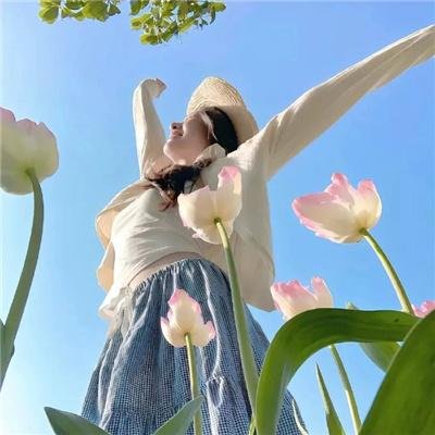 夏威夷特勤组第九季